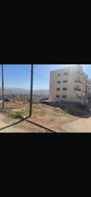 ارض سكنية بسعر مغري عين الباشا من المالك مباشرة