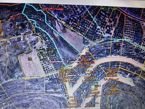Mixed Use Land for Sale in Nablus Asira Ash-Shamaliya