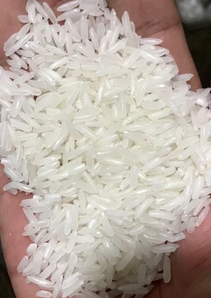 NUR Premium Iranian Tarom Hashemi Rice from Mazandaran Wholesale