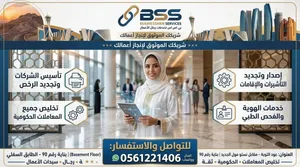 BSS BUSINESS MAN SERVICES