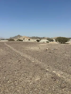 للبيع ارض في العامرات مدينة النهضه مربع 14/2 قريبه البيت و الشارع
