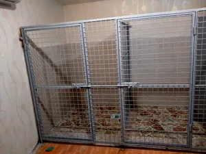 dog cage maker in uae