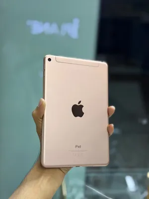 Apple iPad Mini 5 - 256 GB - with sim - 7.9 inch - Good condition device