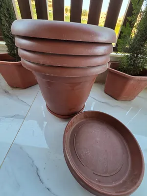 6 قواوير بني مقاس 40 سم