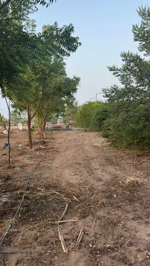 مطلوب ارض كورنر بركاء