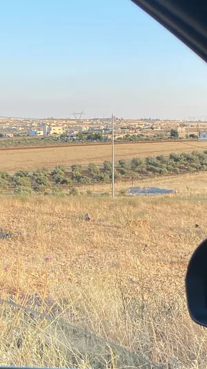 3400م مزروعه زيتون فيها بئر ماء جمع واصل جميع الخدمات 4500 دينار الدنم