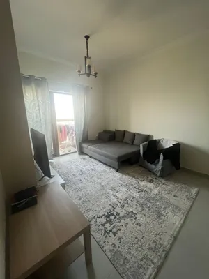 Refrigeration and gas are new and unused.the other is used(Tv,Sofa,carpet, Dining table)
