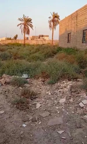 قطعه ارض ب الجزيره شارع زين العابدين زراعيه اصوليه
