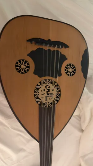 عود سالمين للبيع