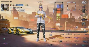 Pubg Accounts and Characters for Sale in Dubai