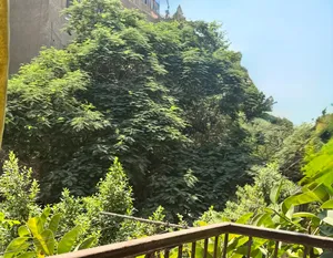 شقه الحي السابع دور اول ش عبد الشافي من المالك