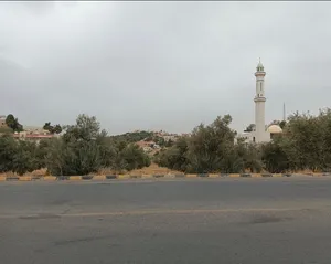 ارض سكنية الغروس الغربي بدر الجديدة