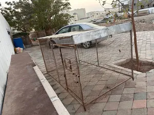 قفص حديد للبيع