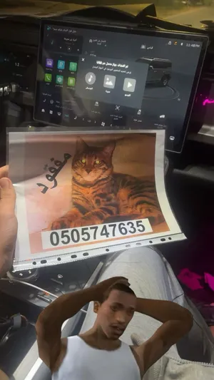 قطط مفقوددددد