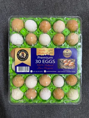 Eggs  Fresh Organic Eggs Local Farm  بيض بلدي طازج حر الرعي من المزرعة، توصيل إلى الباب في دبي