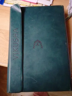 Vikusha V-Z60 128 GB in Amman