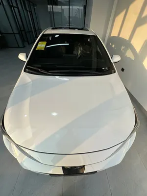 2024 NEW LEVIN