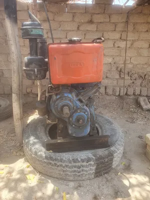 مولد هندي سلف