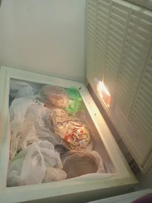 فريزر ارضي