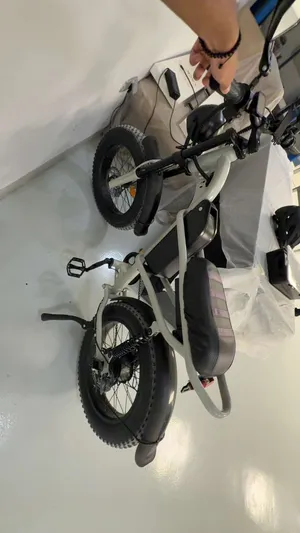 Eveons Bluebee III Electric Fat Bike