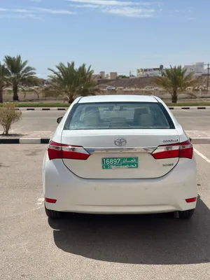 كورولا بحالة الوكالة استخدام ديوان البلاط السلطاني ممشى قليل واقتصادية جداً