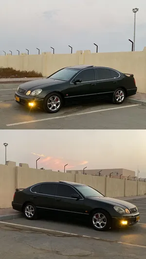 قابل بشي بسيط