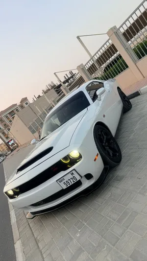 Used Dodge Challenger in Ajman