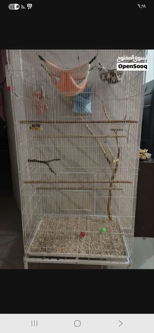 قفص كبير  big cage
