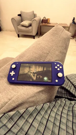 نينتندو سويتش لايت معدل/modded switch lite