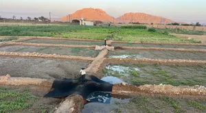 مزرعه للبيع في الزروب العقيده