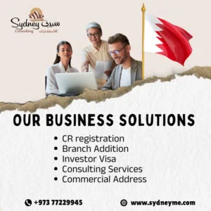 Coordination of Audit, Accounts- Book Keeping, VAT registration, Filing, UBO, CR renewal, WPS