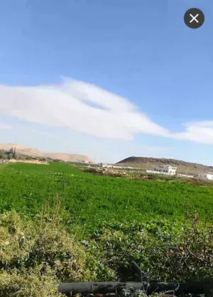 Farm Land for Sale in Zarqa Other