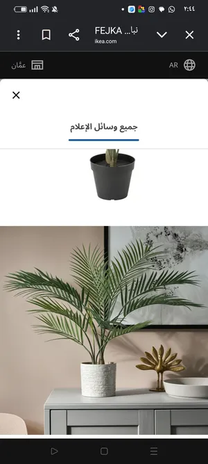 متفرقات من ايكيا