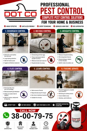 pest control/cleaning/paint/wood flloring/plumbing/Electrical