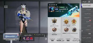 Pubg Accounts and Characters for Sale in Hebron