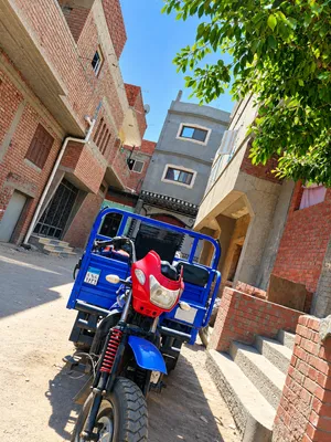 للبيع تروسيكل مشروعي موديل 2019 – 200cc.