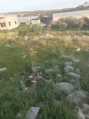 Residential Land for Sale in Tulkarm Danaba