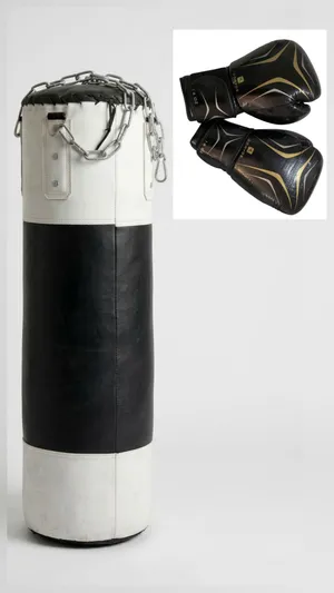 كيس ملاكمة وقفازات /Punching bag and Gloves