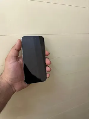iPhone15 ()