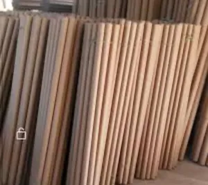 مواصير كرتوني مظغوط علا طلب العميل