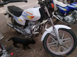2023Haojiang HJ150-4