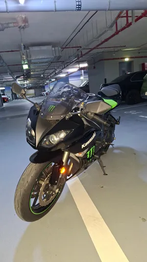Kawasaki Ninja ZX-6R Monster Edition