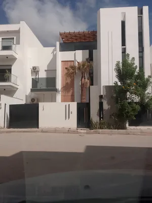 عندي نخلة هادي معش نبيها اول واحد يكلمني مباركه بالبلاش