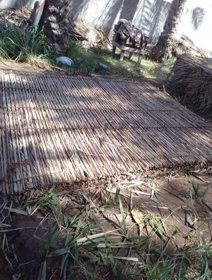 دعون للبيع 8×8