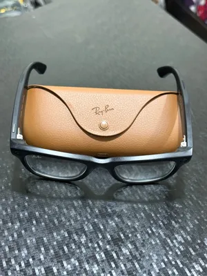 Ray-Ban Meta Wayfarer