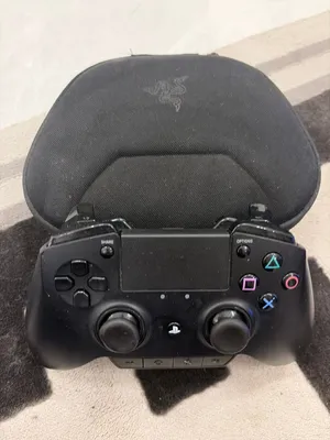 Razer raiju