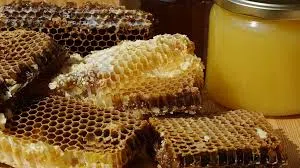 عسل للبيع بتركيز عالي