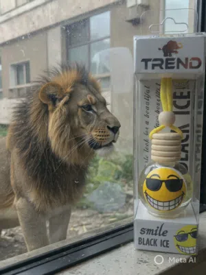 فواحة عربية ماركة ترند حجم 10مللى  Trend Air Fresheners