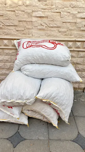 نفيعه انتاج هاذي سنه