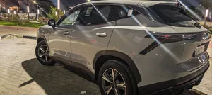 جيتور داشنك اسمنتي مميز
